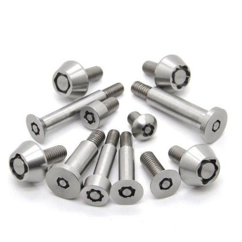 Custom Stainless Steel Tamper Proof Anti-theft Tamperproof Safety Security Screw